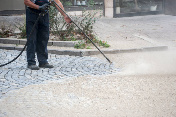 Best Pre-Holiday Cleaning  in Wild Peach Village, TX